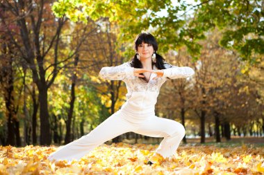 güzel bir kadın yoga egzersizleri sonbahar Park yapıyor