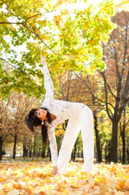 güzel bir kadın yoga egzersizleri sonbahar Park yapıyor