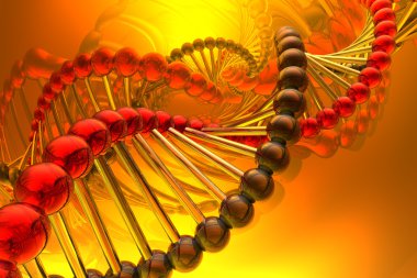 DNA oluşturucu