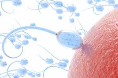 sperm saldırı