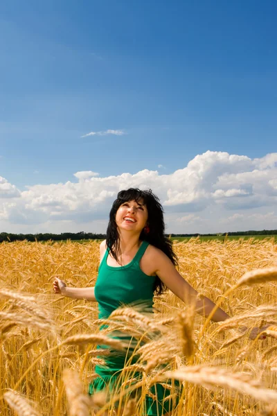 Красивая женщина в золотой пшенице — стоковое фото