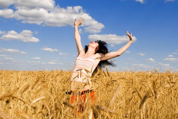 Güzel bir kadın altın buğday — Stok fotoğraf