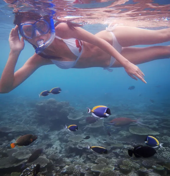 Young woman swimming with fishes on coral reef in blue water — Stock Photo, Image