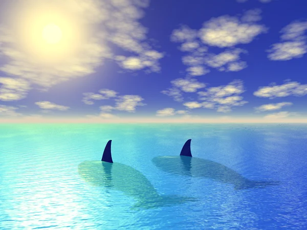 Deux baleines dans le lagon bleu — Photo
