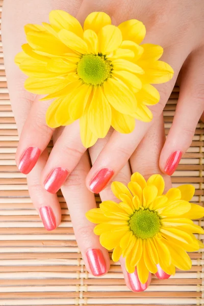 Care for woman hands — Stock Photo, Image