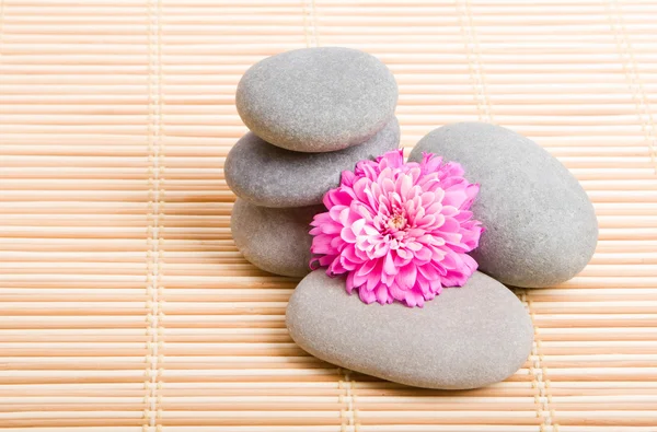 Stones for spa therapy — Stock Photo, Image