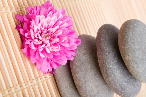Balanced stones with red flower — Stock Photo, Image