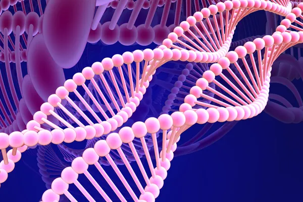 Спіраль ДНК — стокове фото