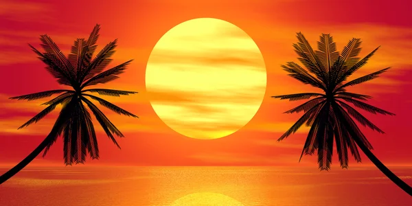 Kırmızı günbatımı ve palm — Stok fotoğraf