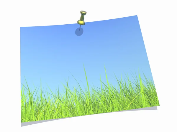 Erba fresca verde su sfondo cielo blu — Foto Stock