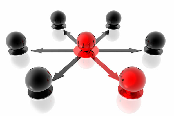 Organisation structure