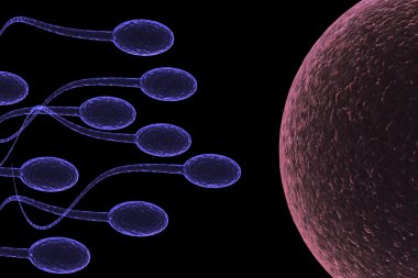 sperm saldırı