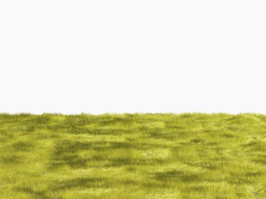 Fresh yellow grass on white background clipart