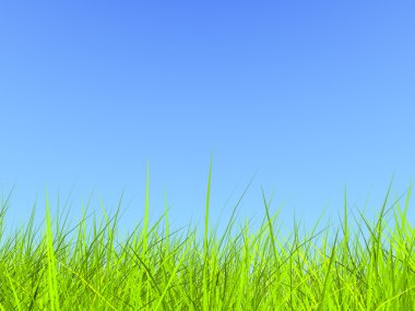 güneşli gökyüzü mavi zemin üzerine taze yeşil çimen