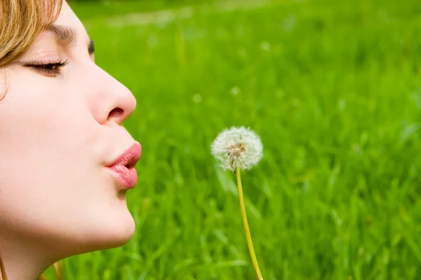 stock image Young girl blowing on the dandelion