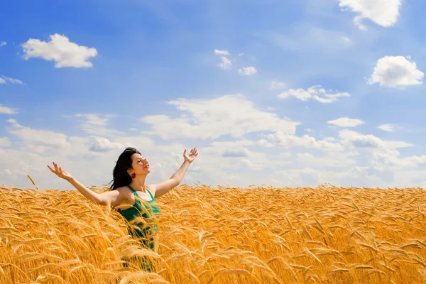 Pretty woman in golden wheat — Stock Photo, Image