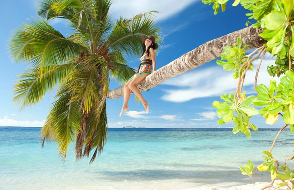Mode vrouw aanbrengen op palmboom op het strand — Stockfoto