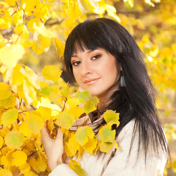 年轻漂亮的女人在秋天的公园 — 图库照片