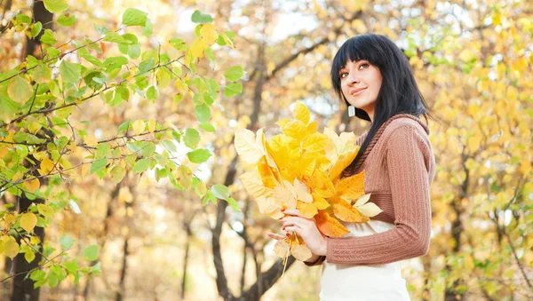 秋の公園で若いきれいな女性 — ストック写真