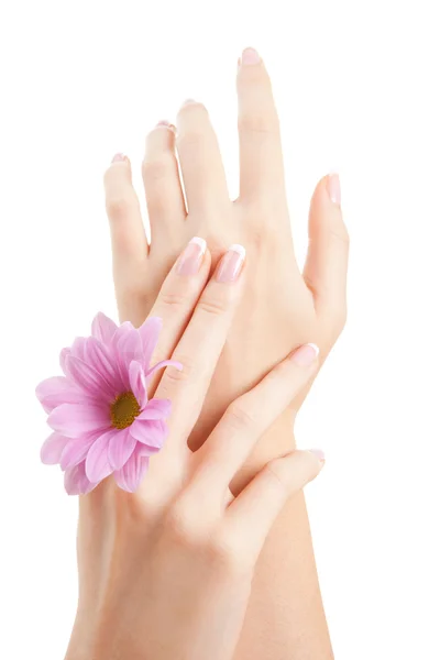 Troska o zmysłowość kobiece dłonie — Zdjęcie stockowe