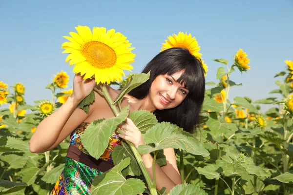 Young woman in the field of sunflowers — Stock Photo, Image
