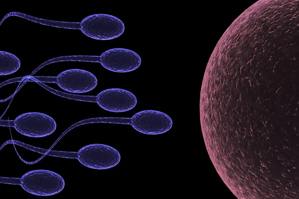 Serangan Sperma — Stok Foto
