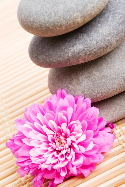 Evenwicht stenen voor spa therapie — Stockfoto