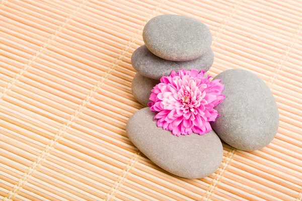 Balanced stones with red flower — Stock Photo, Image