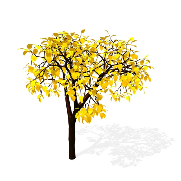 Tree isolated in white — Stock Photo, Image