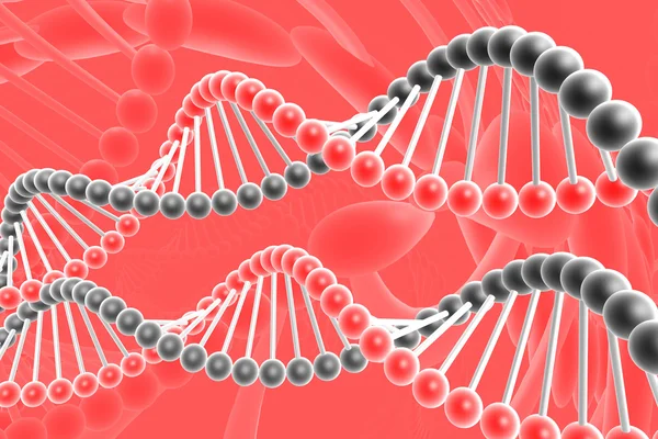Спирали ДНК — стоковое фото