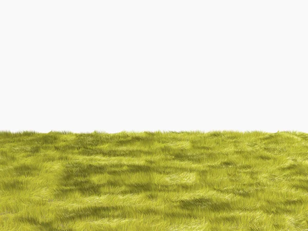 Свежая желтая трава на белом фоне — стоковое фото