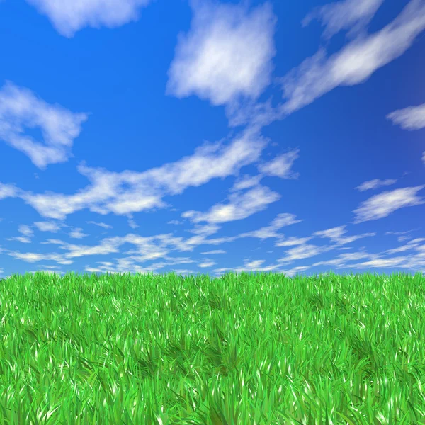 Čerstvé zelené pole na pozadí modré slunečné nebe — Stock fotografie