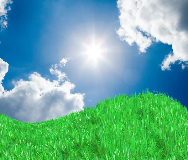 Fresh green field on blue sunny sky background — Stock Photo, Image