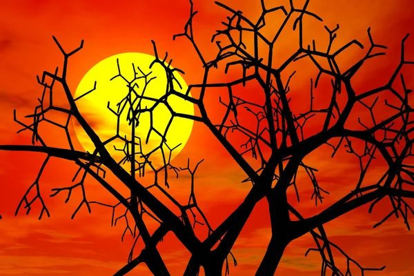stock image Red sunset in haloween day