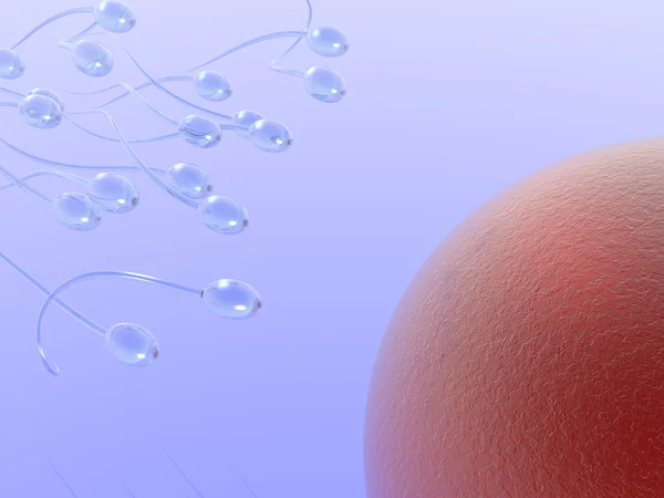 Ataque de esperma — Foto de Stock