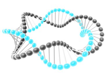 dna spiral