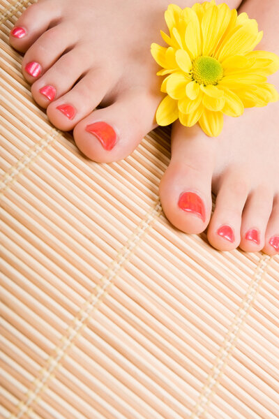 Забота о чувственности женщины ноги
