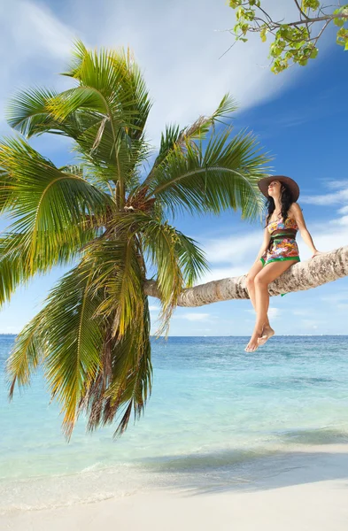Mulher de moda situada em cima da palmeira na praia — Fotografia de Stock