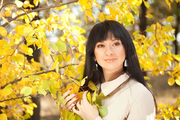 stock image Young pretty woman in the autumn park