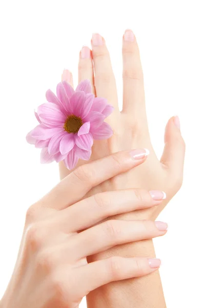 Care for sensuality woman hands — Stock Photo, Image