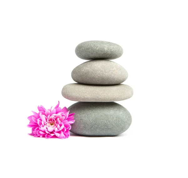 Stones for spa therapy — Stock Photo, Image