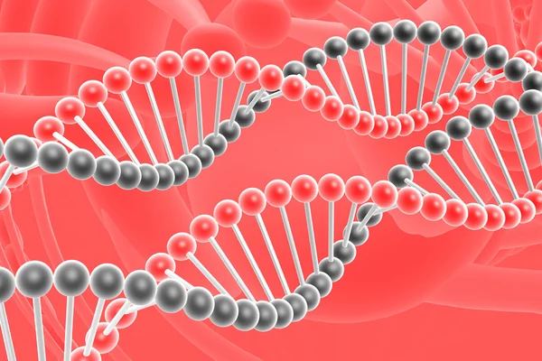 DNA spiraler — Stockfoto