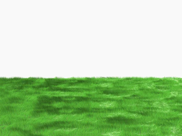 stock image Fresh green grass on white background