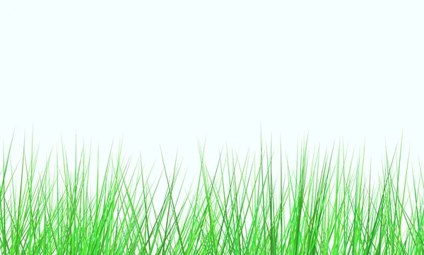 Färska gröna fältet på vit bakgrund — Stockfoto