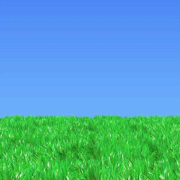 Čerstvé zelené pole na pozadí modré slunečné nebe — Stock fotografie