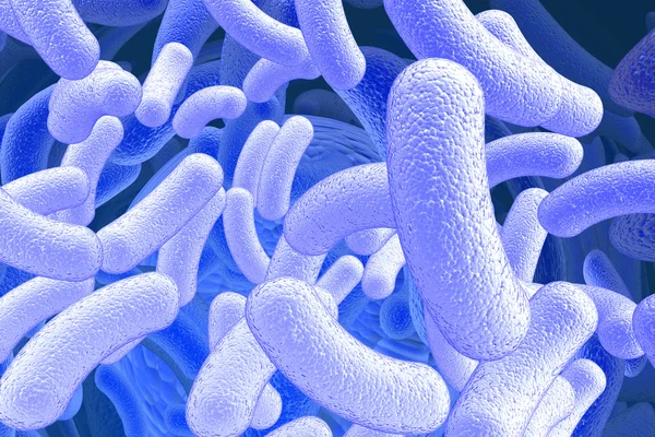 Illustration av bacillus mikroorganismerna — Stockfoto