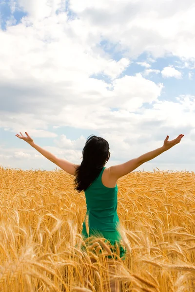 Happy woman in golden wheat Stock Picture