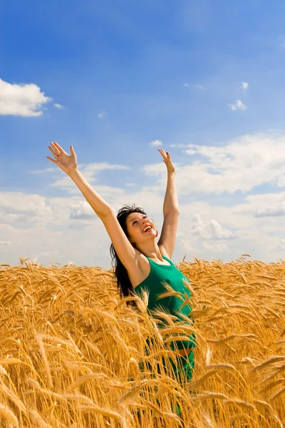 Happy woman jumping in golden wheat Stock Photo