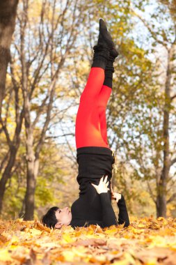 güzel bir kadın yoga egzersizleri sonbahar Park yapıyor