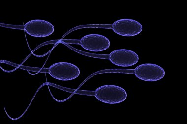 sperm saldırı